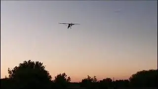 Жужжик115