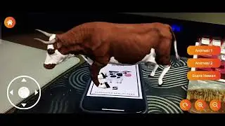 Interactive Animal Introduction with Augmented Reality