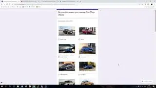 Автомобильная программа One Shop World. Изучение спроса.