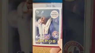 Pedro Martinez MLB Baseball Card