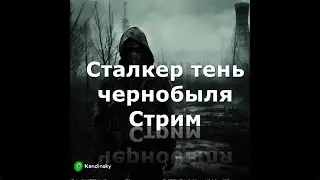 Сталкер стрим