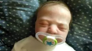 Обед с реборном/ С праздником!