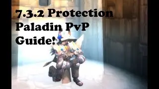 7.3.5 Protection Paladin PvP Guide