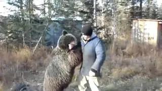 Мишка / Bear