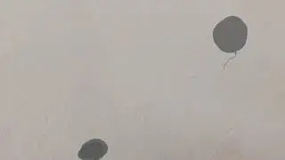 FlipaClip animation (fox4studio) / Рисуем в FlipaClip 4