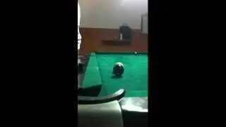 Cú đánh billiards thần sầu nhất mọi thời đại