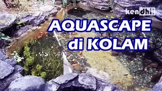 Bikin AQUASCAPE tapi di KOLAM ? KOLAMSCAPE?