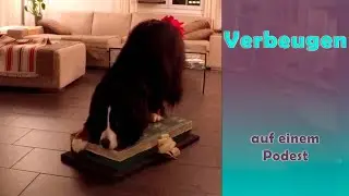 Verbeugen auf kleiner Kiste