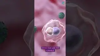 Unstoppable Std: The One Incurable Infection