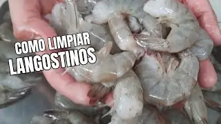 como limpiar LANGOSTINOS correctamente #fish #langostinos  #mariscos
