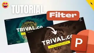 How to Apply Filters to the Pictures in PowerPoint