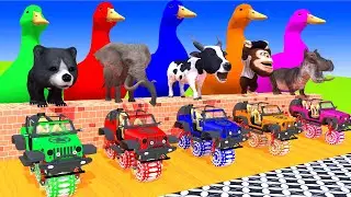 5 Giant Duck Cartoon,Tiger,Cow,Zebra,Chicken,Dog,Rabbit,Lion,Cat Wild Animals Crossing Fountain 2023