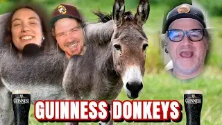 These donkeys carry Guinness up a mountain I The Past Times Podcast Clip