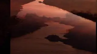 Lacrimæ · Corciolli