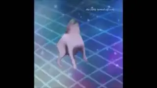 DANCE TILL YOU'RE DEAD EAR RAPE VERSION