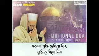 Al Aqsa Moque | #youtubeshort #viralvideo #treending | MJ Gallery.