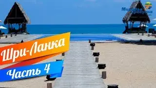 ШРИ – ЛАНКА! Мировая прогулка часть 4