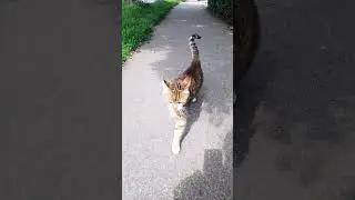 потрите мне спинку, пожалуйста