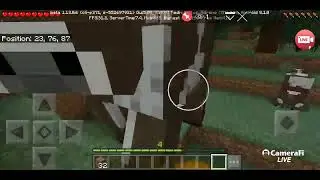 Just Minecraft
