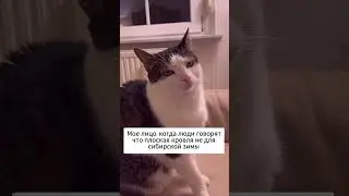 🙅🏼‍♂️С плоской крыши придется счищать снег - МИФ! 