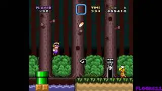 Waluigi's road to glory: Horlogic will go on (SMW Hack) Part 5