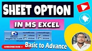 Sheet Option In Ms Excel  || Ms Excel Main Sheet Option ka Use  Kaise Karte Hain?