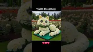 Чудеса Флористики !!!🥀  🌹🌹🌹