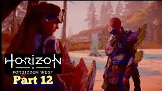 Horizon Forbidden West Part 12: The Enduring (Continued)