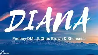 Fireboy DML - Diana ft  Chris Brown & Shenseea  [ lyrics video ]