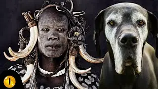 10 TERRORISING AFRICAN DOG BREEDS