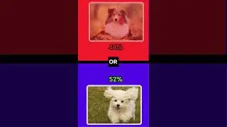 Red or Blue? #quiz #wouldyourather #quiz