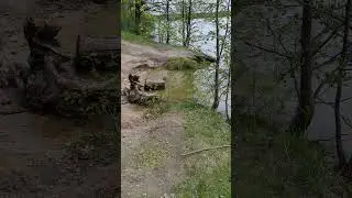 утка на рыбалке #shortsvideo #рыбалка