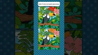 10 Отличий Тукан