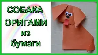 Origami Dog | How to Make an Origami Dog