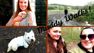 The Weekly | Muddy walks | What's new at home?