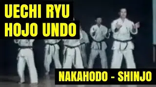 Uechi Ryu Hojo Undo - T.Nakahodo, Shinjo Brothers