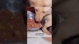 ДАЙ БОГ ЗДОРОВЬЯ!!!😂