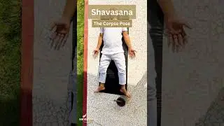 Yoga Poses For Mental Wellbeing | The Beach House Goa