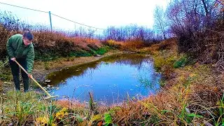 ПРУД НА ДАЧЕ ОСЕНЬЮ Обзор пруда с рыбой и растениями