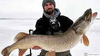 MONSTER Northern Pike caught while ice fishing