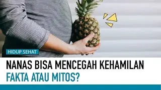 Benarkah Nanas Bisa Mencegah Kehamilan? | Hidup Sehat