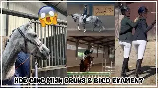 HOE GING MIJN ORUN3 & BICD EXAMEN?😱🤞🏻❤️‍🔥 #joanneneidhoferhorses #vlog369