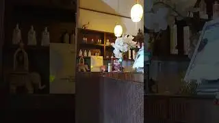 14 августа 2024 г.
