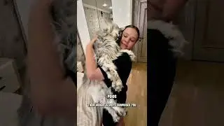 The cat that isn't really a cat