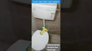 Plumber Flush Tank Ball Cock Replace 