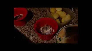 Bratkartoffeln mit Tupper
