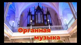 органный концерт в Варшаве