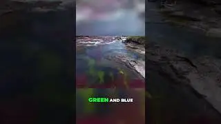 Caño Cristales - The River of Five Colors #viralvideo #viralshort #columbia #viralshorts #fyp