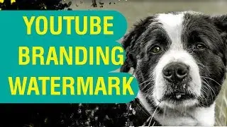 How to create and add Youtube Branding Watermark in 2019