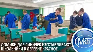 Домики для синичек изготавливают школьники в деревне Красное
